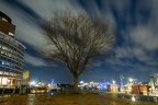 Hamburg Baum bei Nacht 