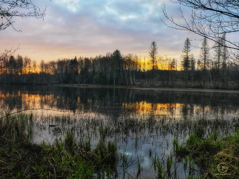 P1070754-01_wz.jpg